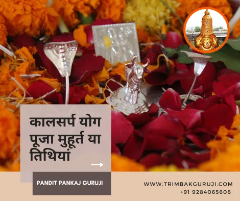 Trimbakeshwar Puja - Trimbak Guruji